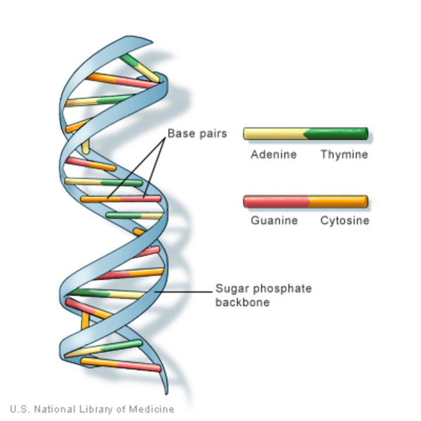 Part of Java exception tree  Download Scientific Diagram