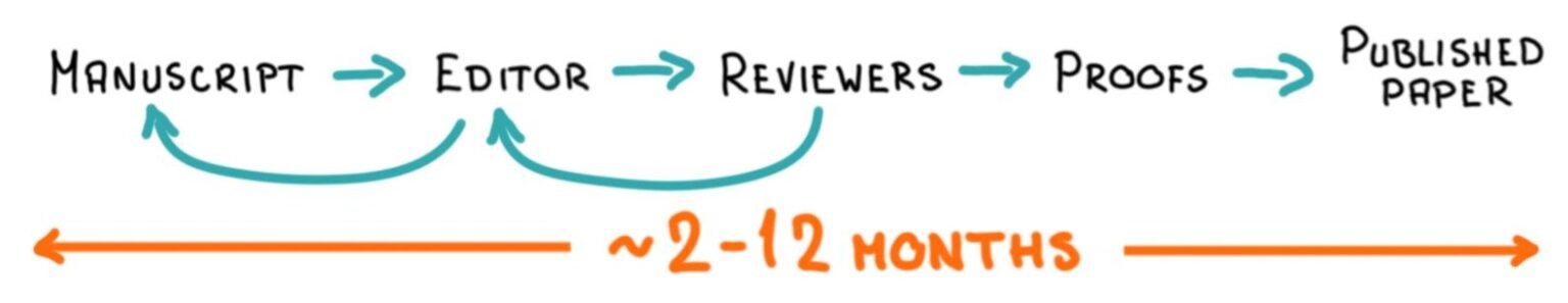 average time to publish a research paper